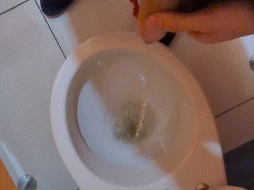 Peeing in public toilets.