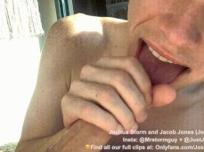 Swallow